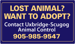 Contact Uxbridge-Scugog Animal Control