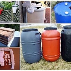 rain barrels